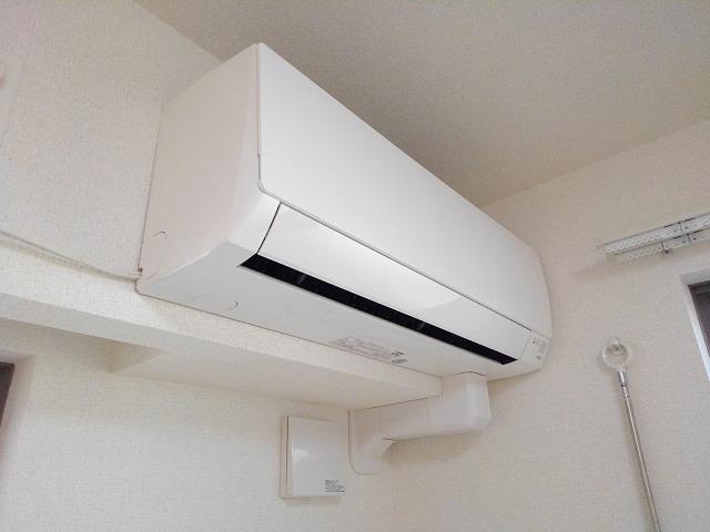 ラピス ブラオの写真12