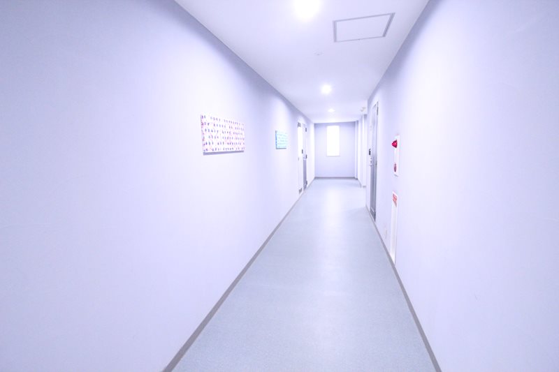 ゼファール湘南Vの写真14