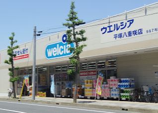 ゼファール湘南Vの写真22