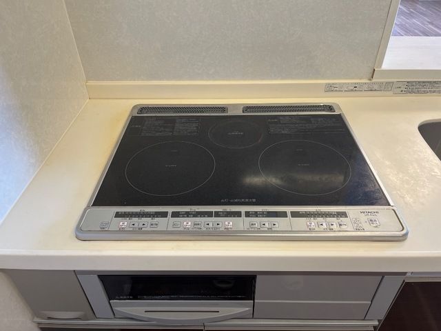 アオイリオーサ の写真19