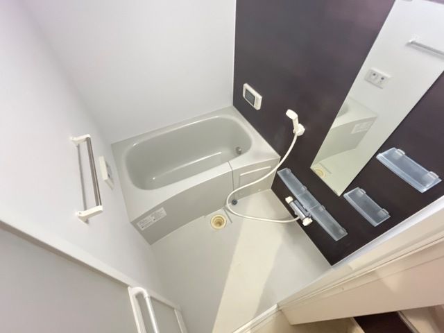アオイリオーサ の写真6