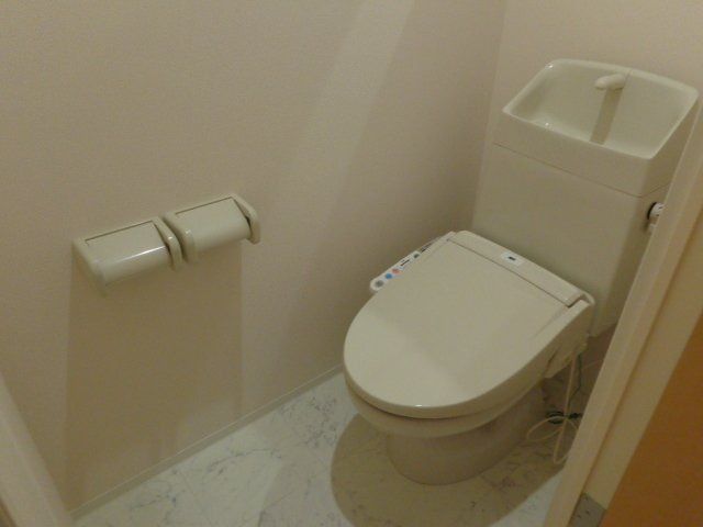 パキラの写真10
