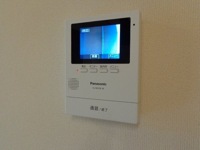 パキラの写真11