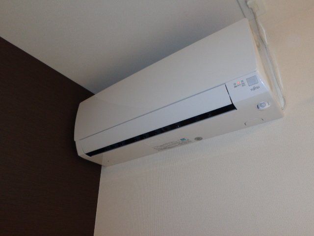 パキラの写真12