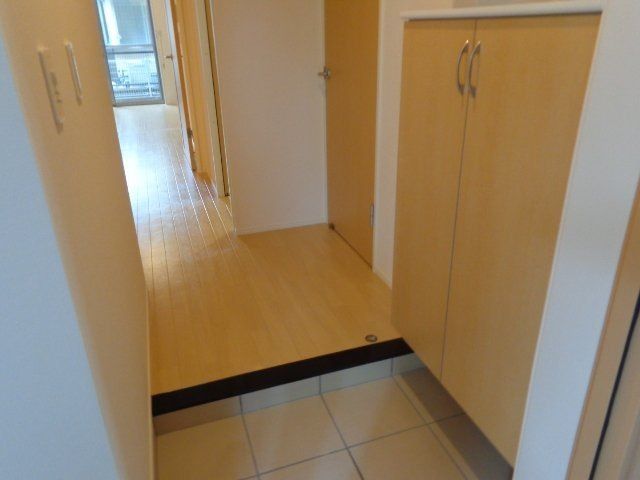 パキラの写真8