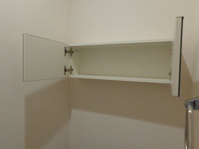 パキラの写真18