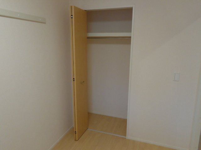 パキラの写真19