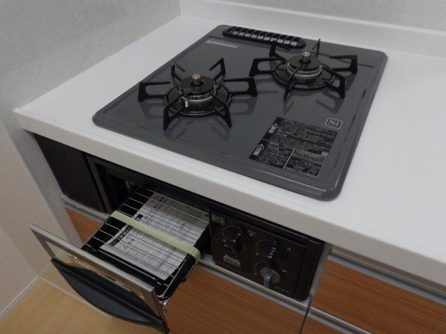 パキラの写真21
