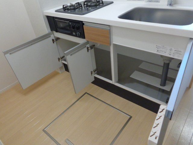 パキラの写真22