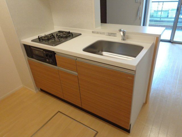 パキラの写真4