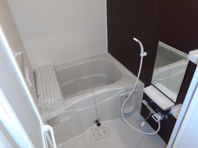 パキラの写真6