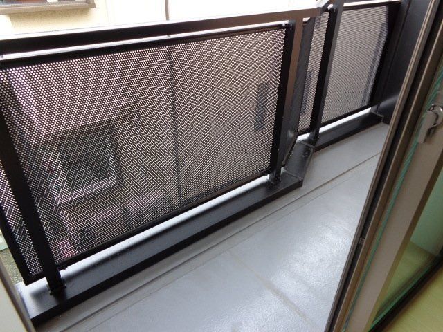 パキラの写真9