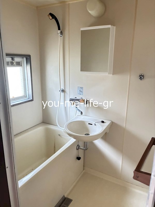 THアルファーの写真10