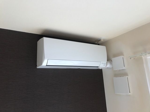 パークステラの写真14
