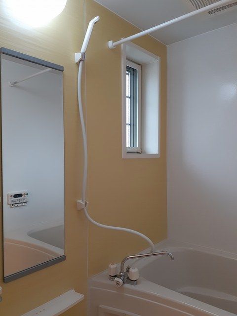 グロリオーサ Ⅰの写真6