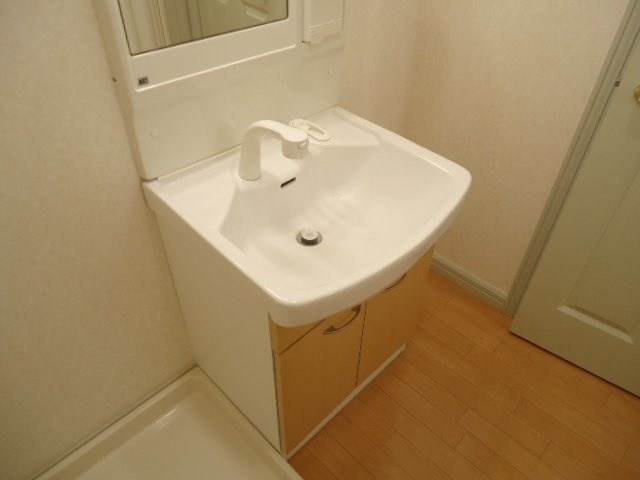フレンドシップＳＨＯＮＡＮⅢの写真9