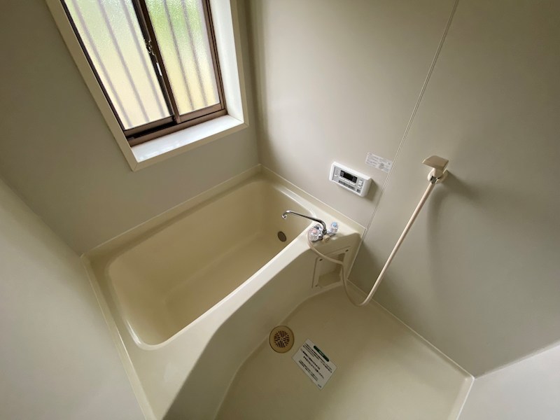 サマーシティー湘南の写真6