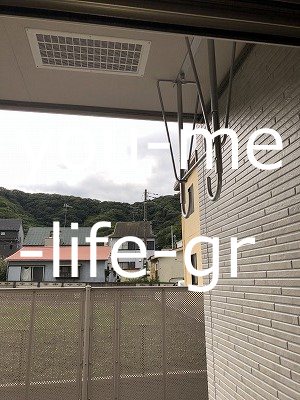 Pruneの写真13