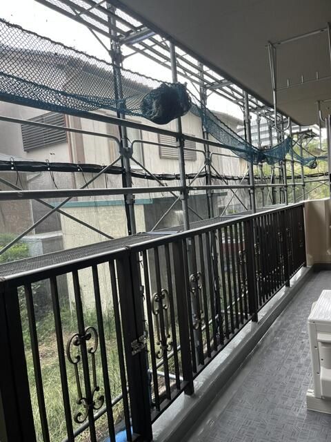 グリーンスクエアの写真9