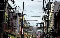 ソレジオ鎌倉Ⅱの写真15