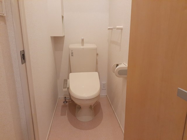 グレーシアの写真11