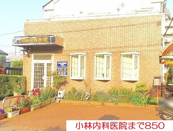 グレーシアの写真19