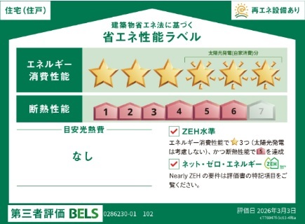 プラシードの写真15