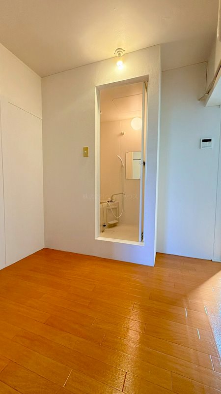 ヴィラナリー折戸 その他5