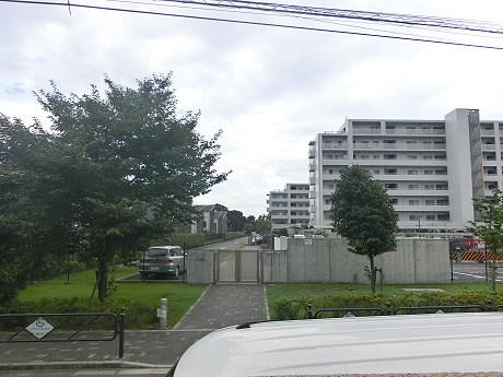 その他11