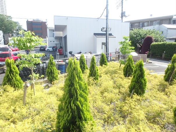 その他4