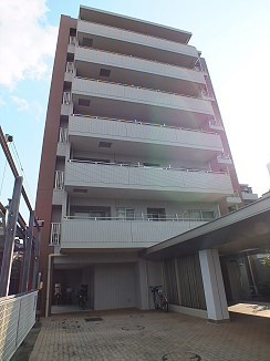 その他11