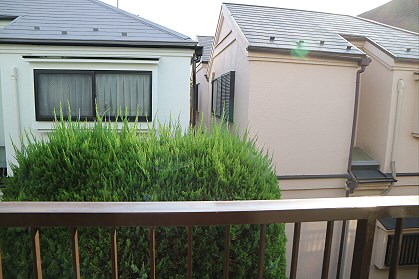 ボーセンフラット その他5