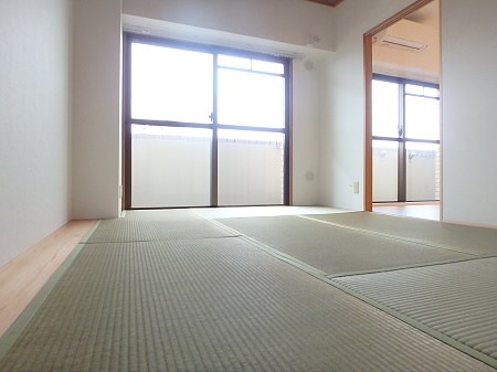 その他16