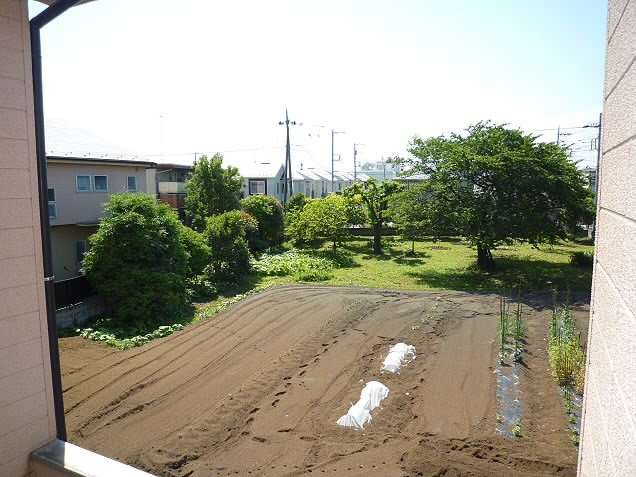 その他7