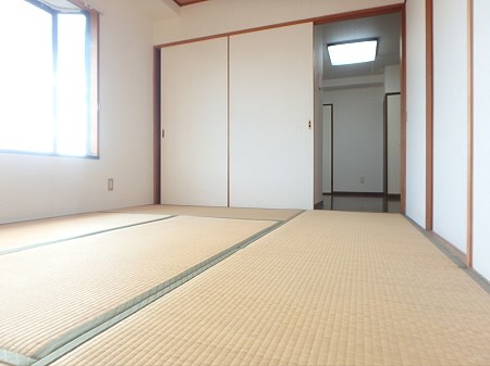 その他13