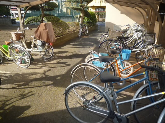 サニーガーデンアライ その他1