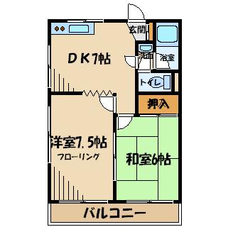 第二寿々盛マンション（定借3年） 間取り