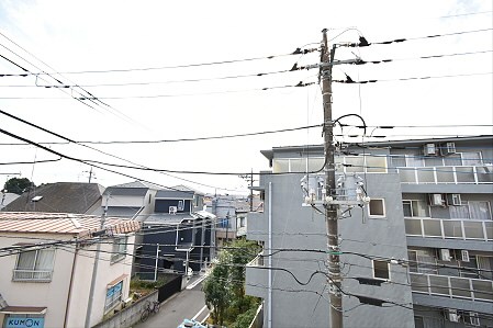 その他5