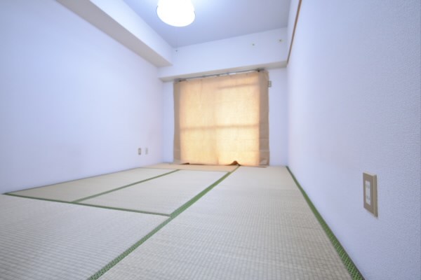 その他11