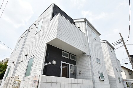 Lupinus（ルピナス） 外観