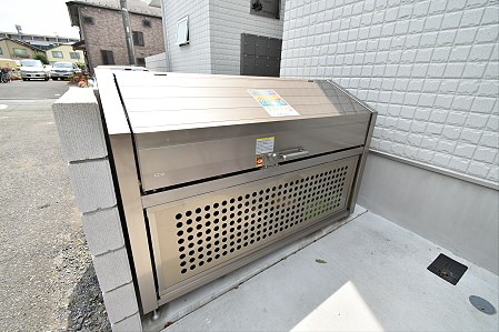 Lupinus（ルピナス） その他1