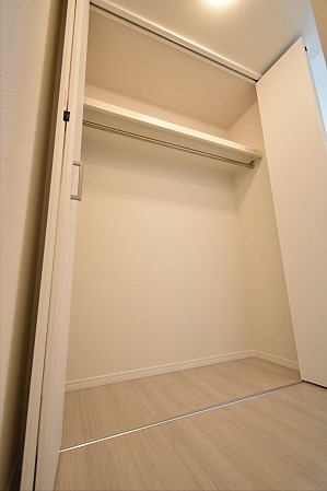 Lupinus（ルピナス） その他2