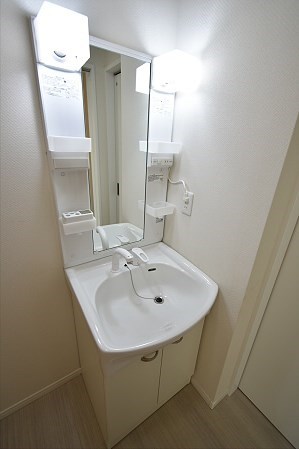 Lupinus（ルピナス） その他3