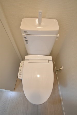 Lupinus（ルピナス） その他4