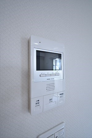 Lupinus（ルピナス） その他5