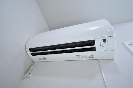 Lupinus（ルピナス） その他6