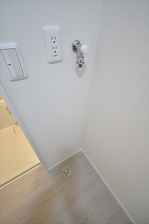 Lupinus（ルピナス） その他7