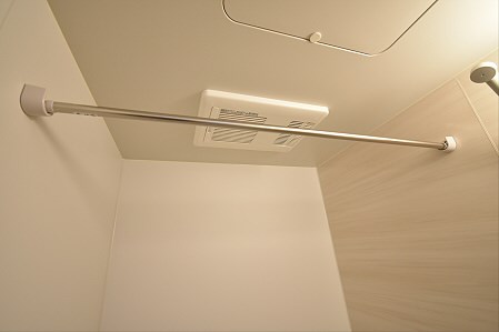 Lupinus（ルピナス） その他9