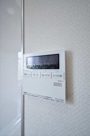 Lupinus（ルピナス） その他10