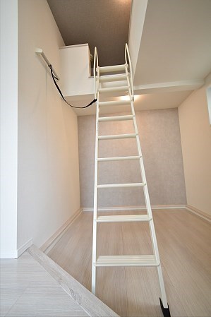 Lupinus（ルピナス） その他11